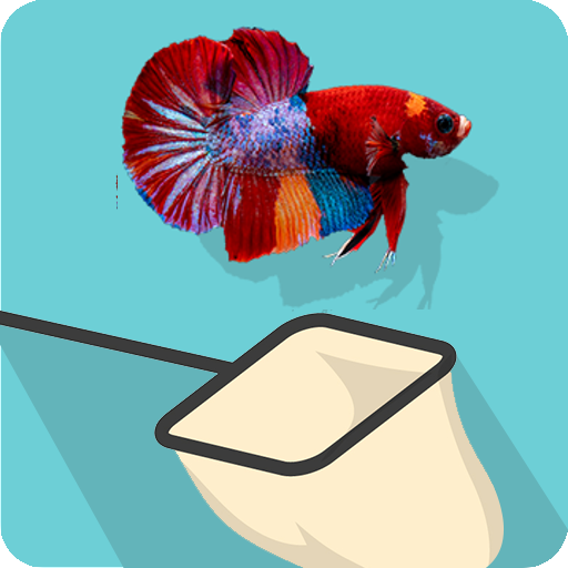 Download Catch the Betta 1.0.0.2 Apk for android