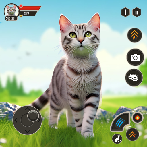 Download chaton jeu animal de compagnie 7.5 Apk for android