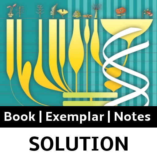 Download Class 12 Biology Solution 2.9 Apk for android