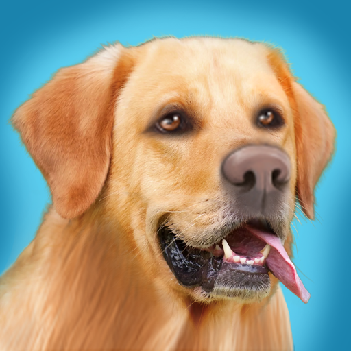 Download Course de chiens 1.3.2 Apk for android