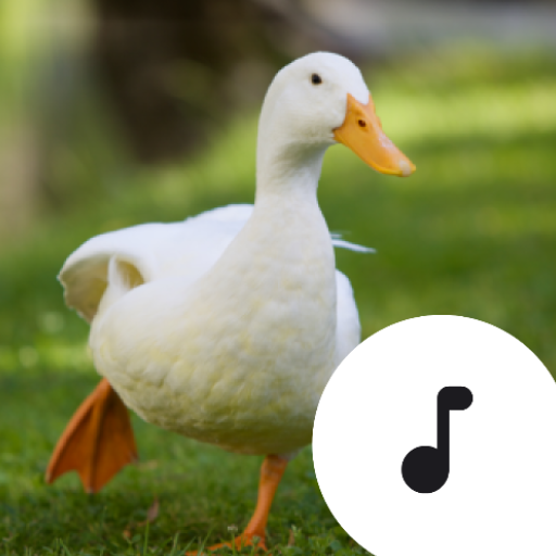 Download Duck Sounds 4.4.2 Apk for android