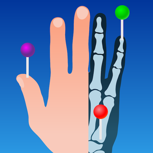 Download e-Anatomy 7.7.0 Apk for android