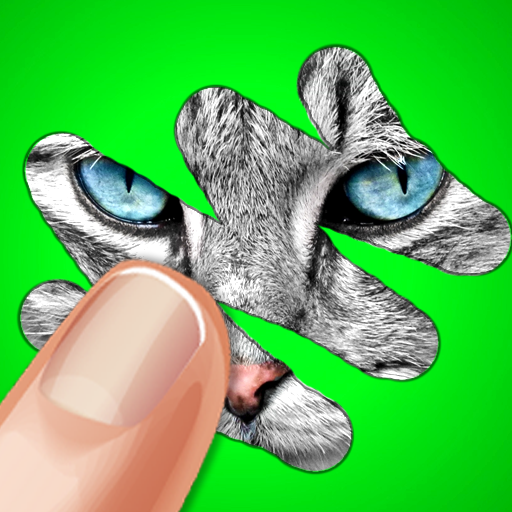 Download Jeu de grattage: Animaux Quiz 6.4 Apk for android