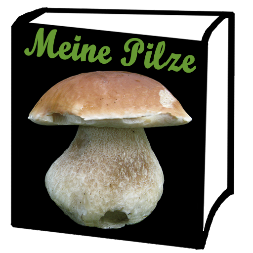 Download Meine Pilze (Pilzbestimmung) V3.91 Apk for android