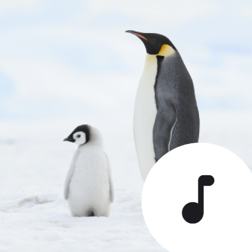 Download Penguin Sounds 4.4.2 Apk for android