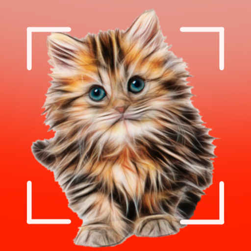 Download Races de chats - Identifiant 1.0.54.214 Apk for android