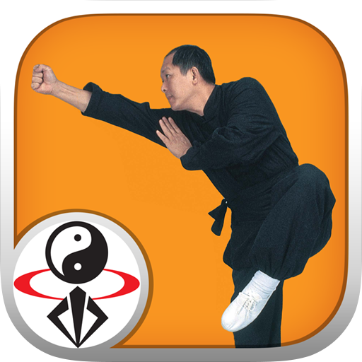 Download Shaolin Kung Fu 1.0.9 Apk for android