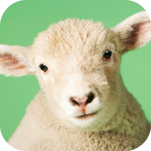 Download Sheep Sounds 3.0.1 Apk for android