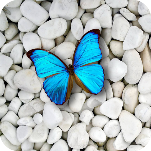 Download Stone Wallpapers 4K 2.01 Apk for android