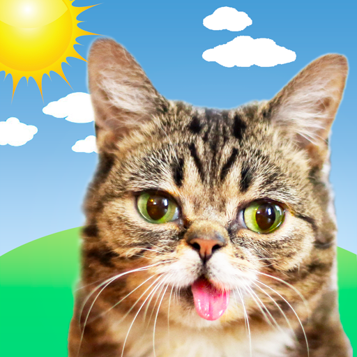 Download Weather BUB 6.0.5 Apk for android