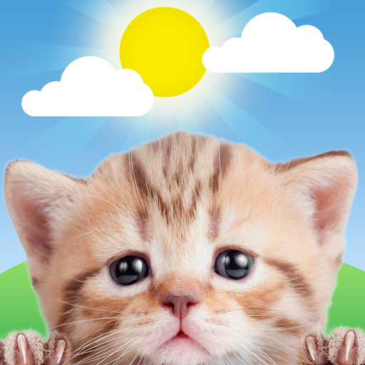 Download Weather Kitty 6.0.5 Apk for android