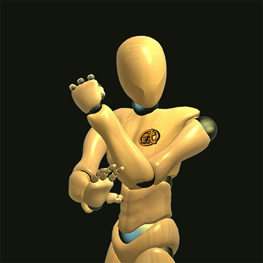 Download Wing Chun Trainer 328 Apk for android