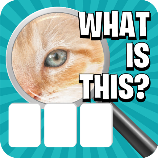 Download Zoom Pic: Close Up Pic Quiz 2.4.5 Apk for android