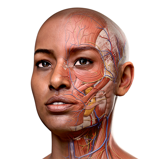 Download Complete Anatomy 11.5.0 Apk for android