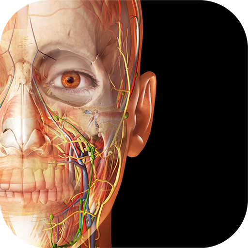 Download Visible Body Suite 6.003.012 Apk for android